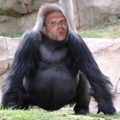 My mate scriv's head on a gorillas body
